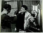 Stephen Furst Flounder Animal House Signed Photo